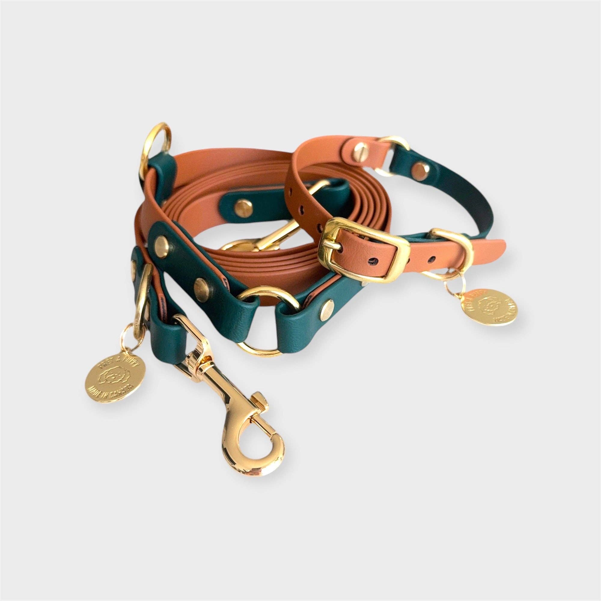 PRÊT-À-PUPPY - Vente Collier – chien - Collier original : créez le vôtre8