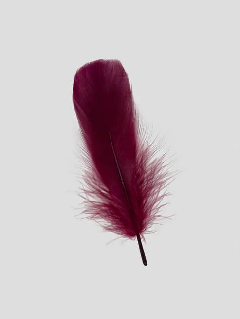 Fins 12-15 cm Bordeaux for wholesale by Enkels Feathers