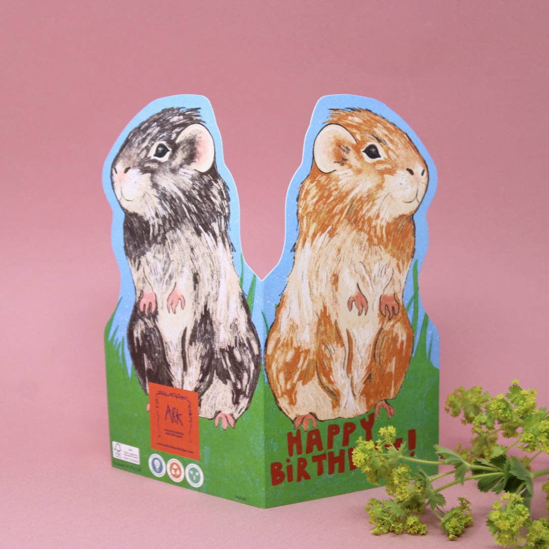 Ark Colour Design - Venta al por mayor Tarjetas de cumpleaños - Tarjeta de felicitación con forma de cobaya0