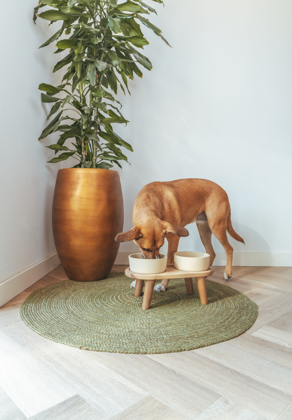 AVA bowls - Wholesale Verhoogde kom voor huisdier - Kat/hond - Houten standaard voor voer- en drinkbak maat L (18cm pootje)1