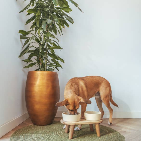 AVA bowls - Wholesale Pet Elevated Bowl - Cat/Dog - Wooden Tray for drink and food bowl size L1