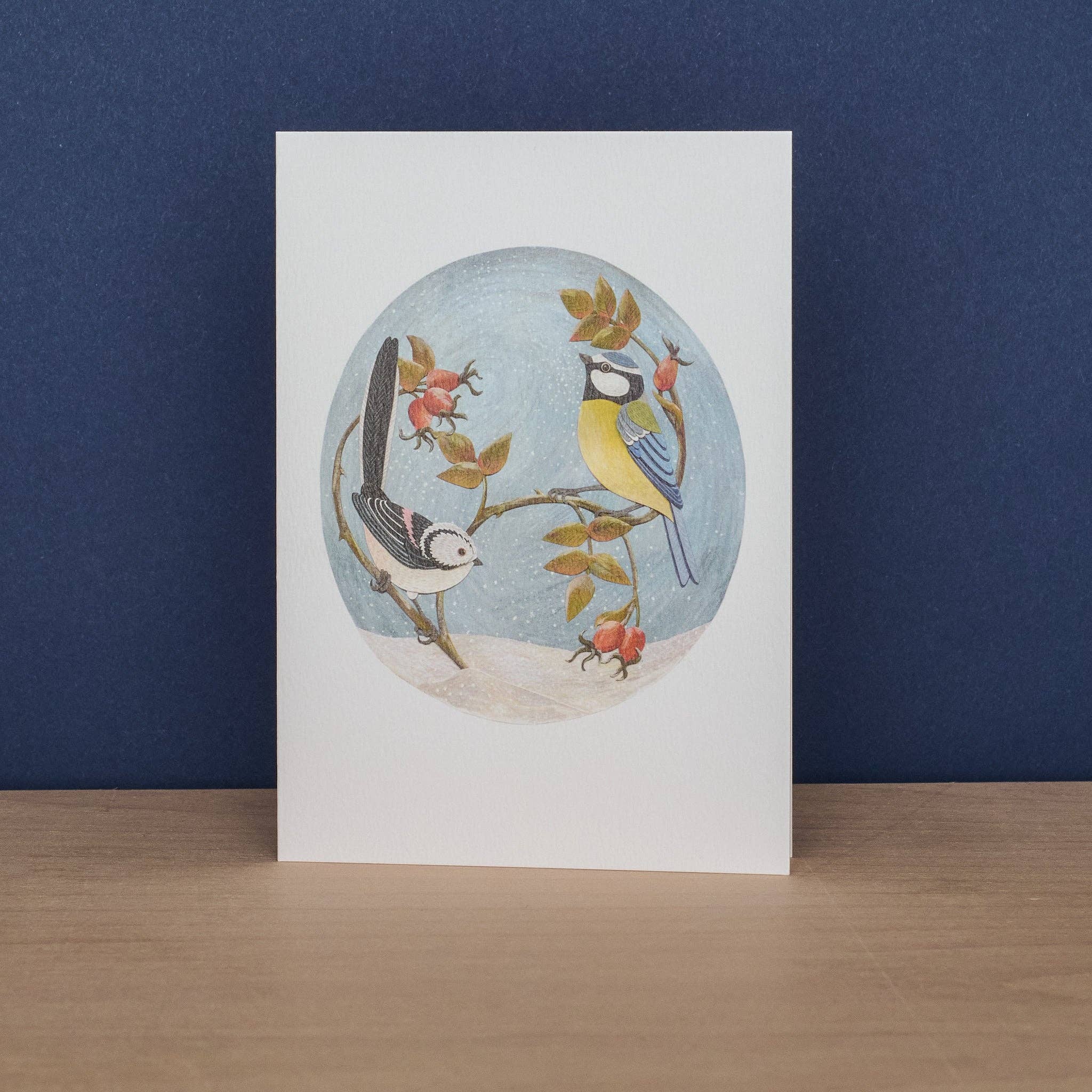Art Angels - Wholesale Stationery/Notecard Set - Waxwing and Robin & Long-Tailed Tit and Blue Tit1