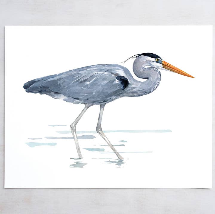Great Blue Heron Watercolor Art Print, Bird Art for wholesale by Studio Tuesday