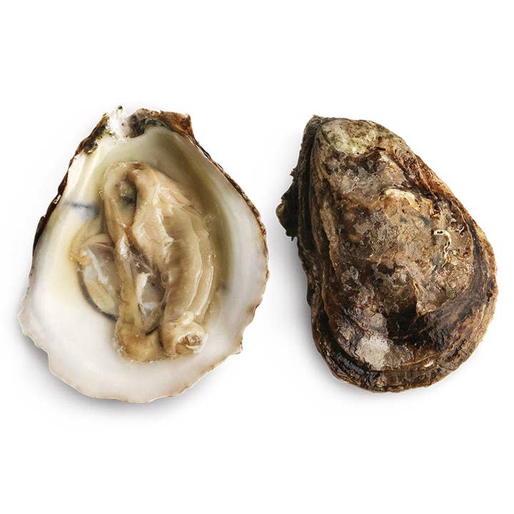 Blue Point Oysters for wholesale by Onatru Foods