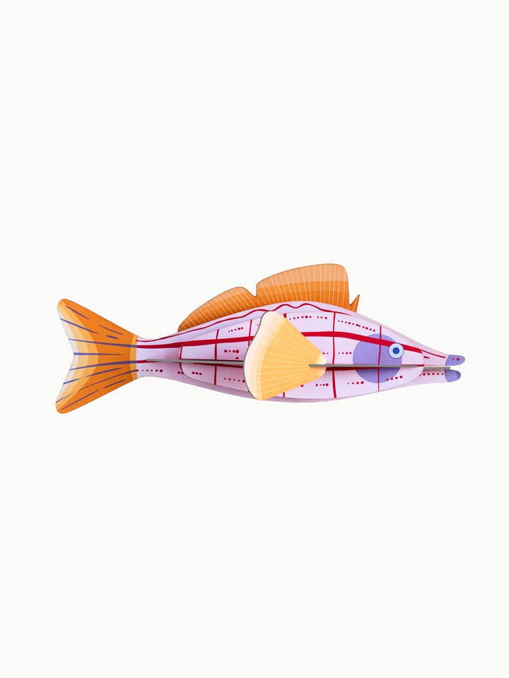 3D Wall Art - Sea Creature - Longnose Hawkfish for wholesale by Studio Roof (no tariffs)