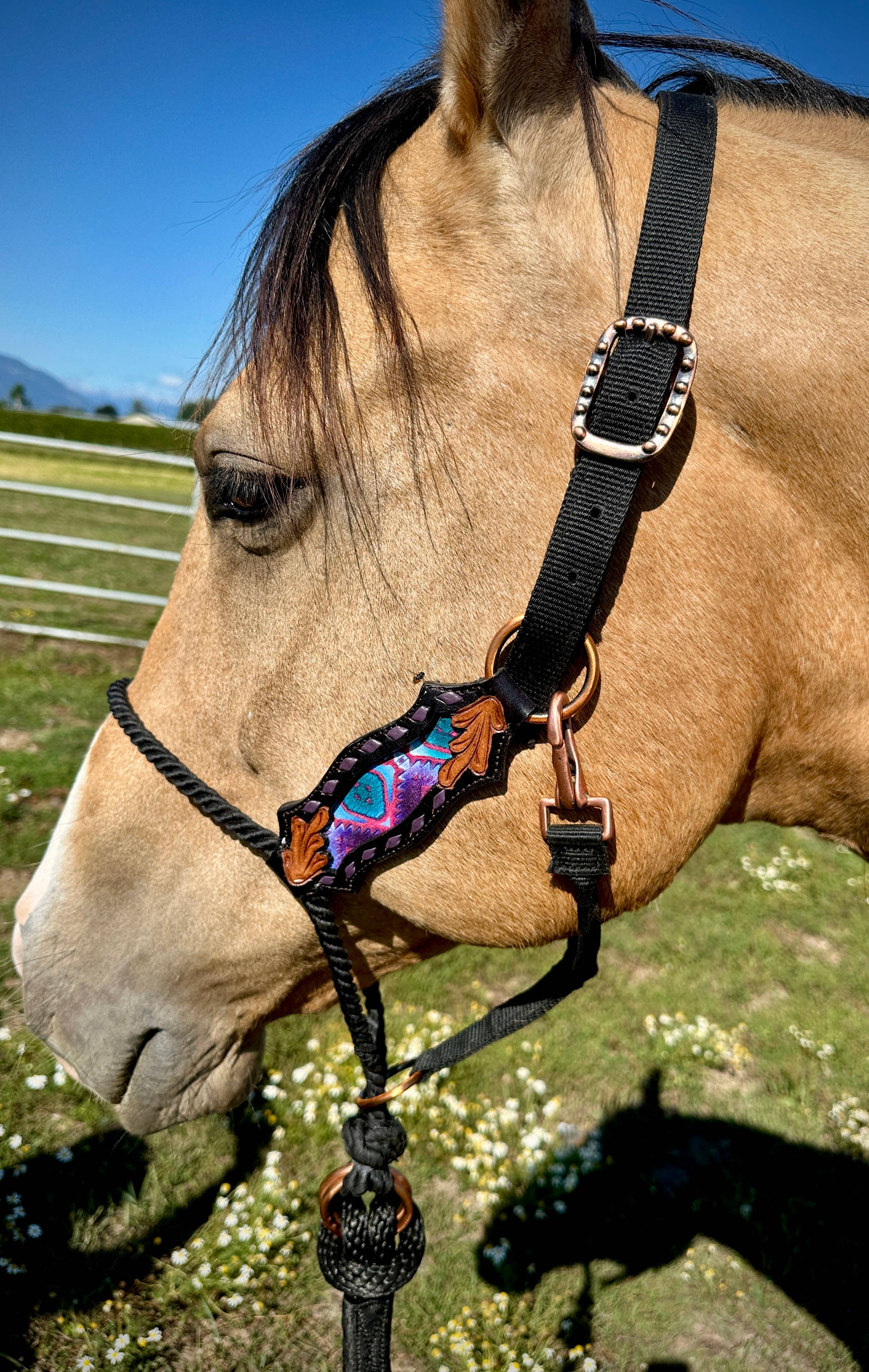 Schulz Equine - Wholesale Horseback Riding Gear - Lariat Nose Halter9