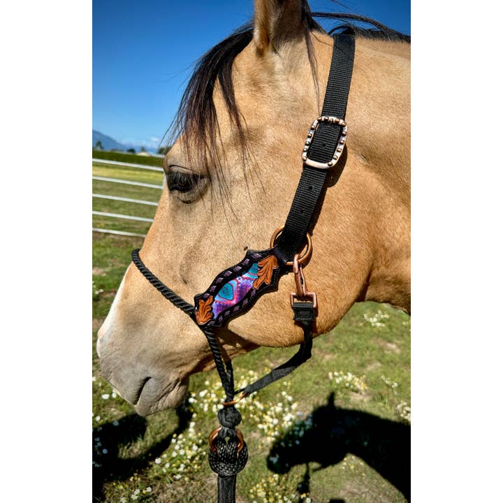 Schulz Equine - Wholesale Horseback Riding Gear - Lariat Nose Halter14