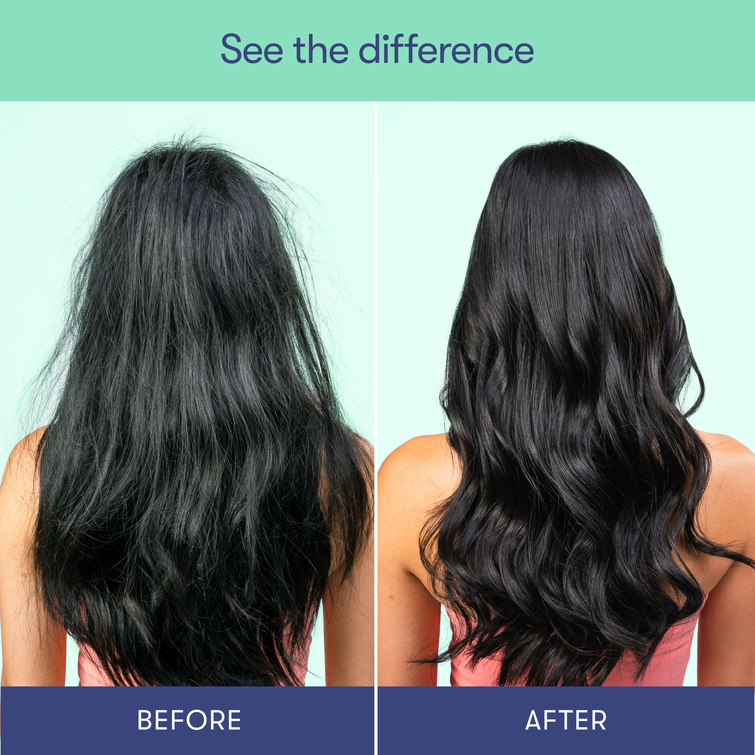 HiBAR - Wholesale Shampoo Puck/Solid Shampoo - Maintain Shampoo Bar2