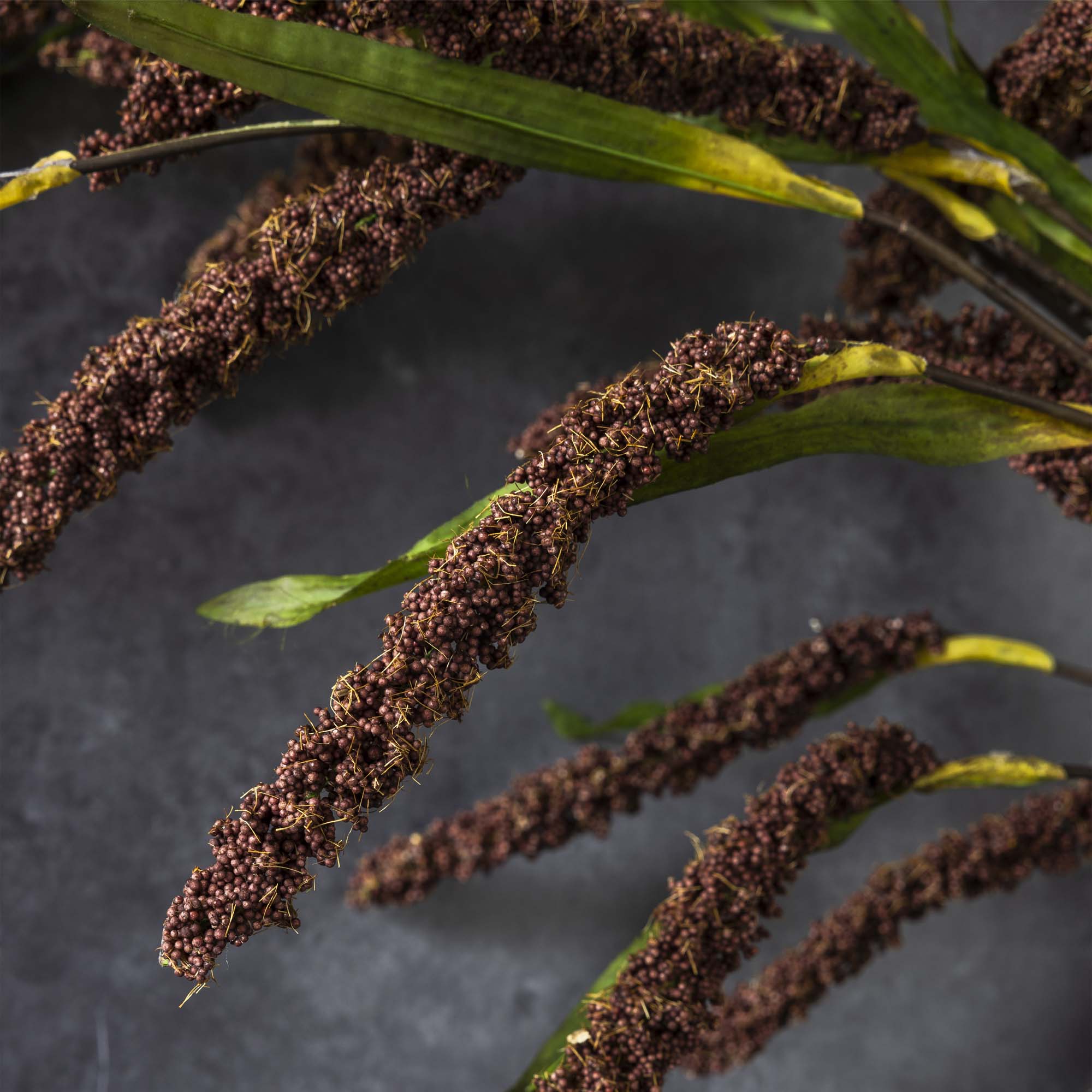 Abigail Ahern – Engroshandel Kunstige blomster – KUNSTIG RISBLOMST4