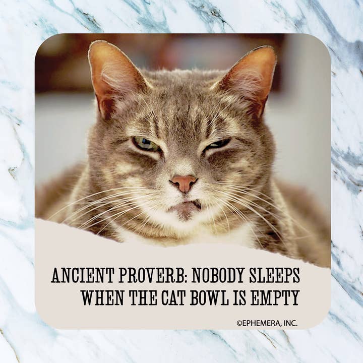 Cat bowl empty Coaster for wholesale by High Cotton Gifts