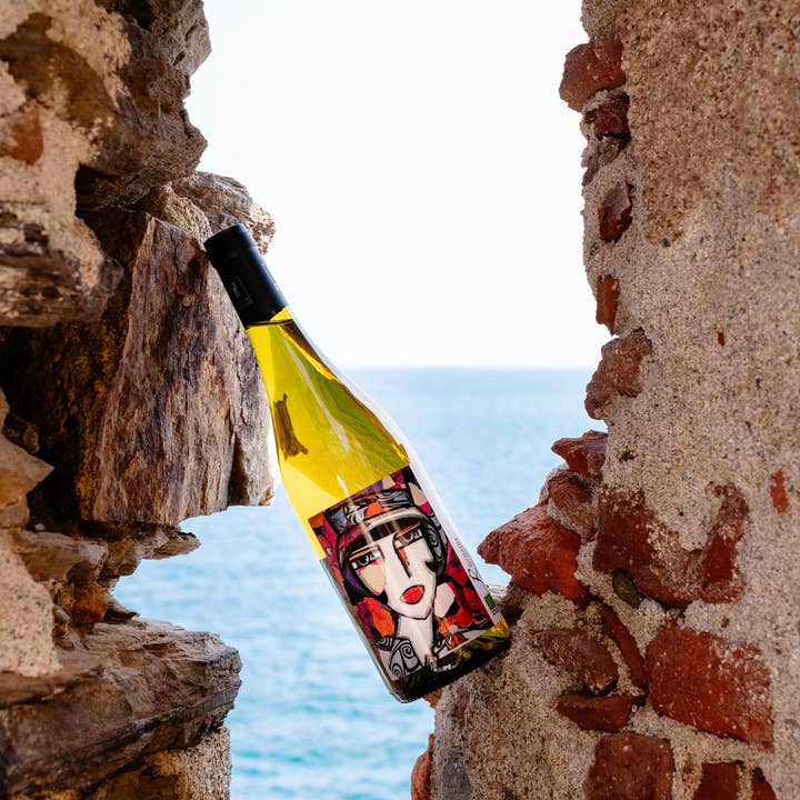 Domaine Ricardelle de Lautrec - Wholesale White Wine - Orange Wine - Vin Orange Scène n°5 20241