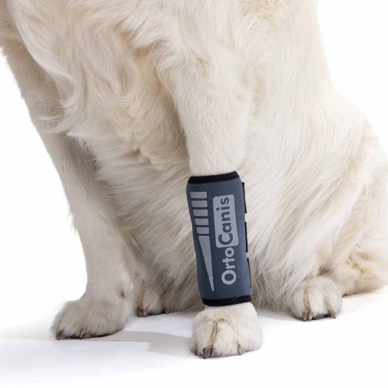 Ortocanis - Wholesale Hondenbandana - Hond - Ortocanis Polsband Voor Honden4