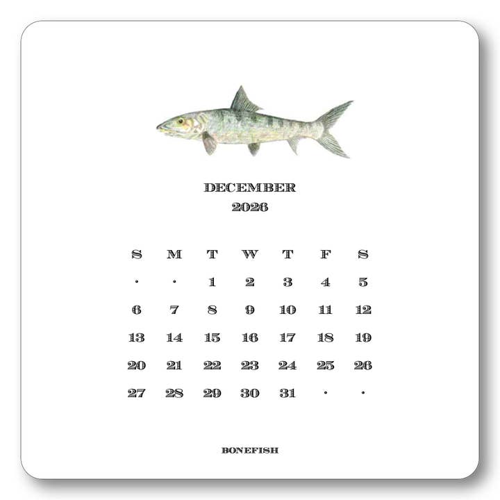 Maison de Papier - Wholesale Calendar - 2026 Saltwater Fish Calendar with Easel