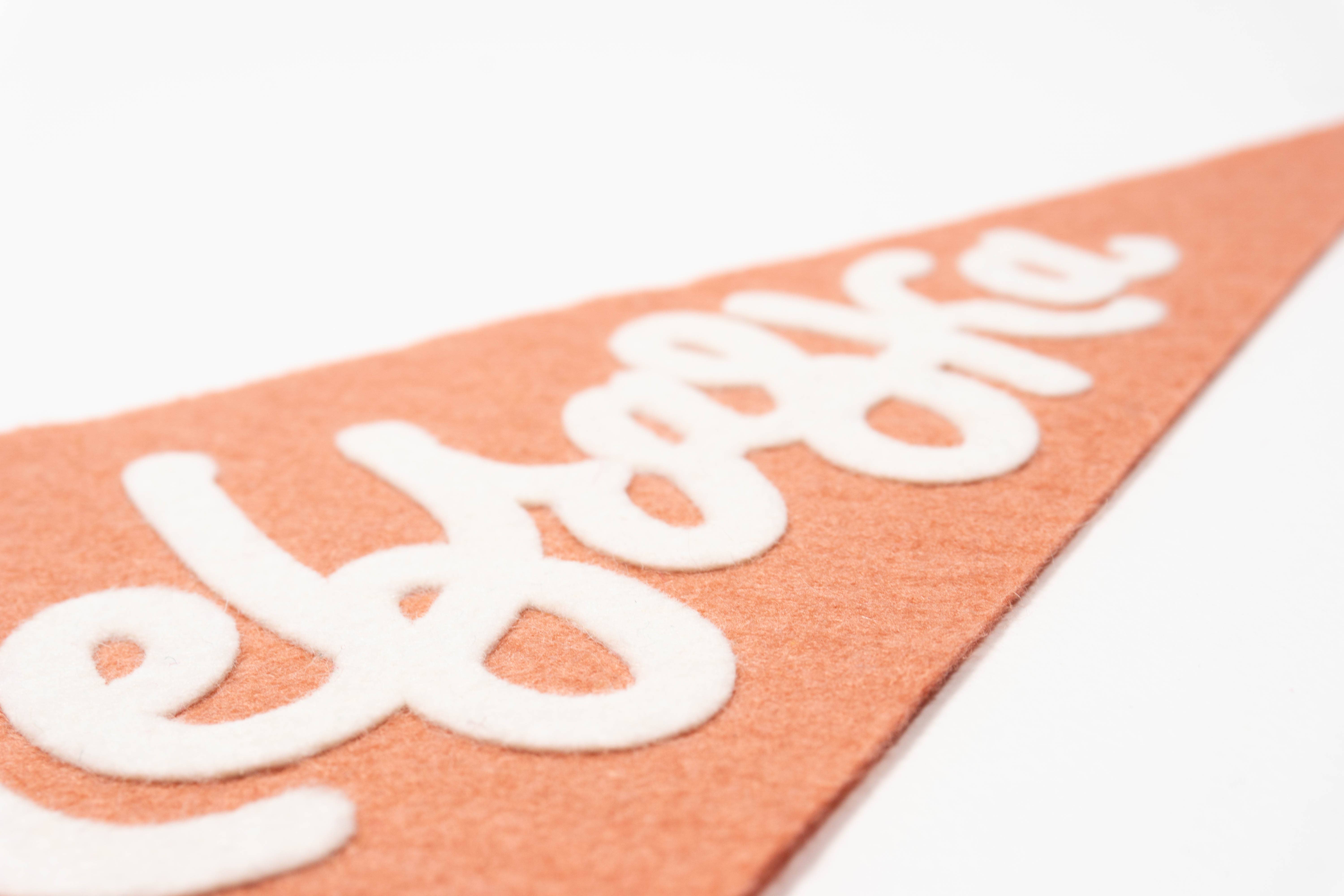 traveldashery - Wholesale Banner - nebraska pennant25