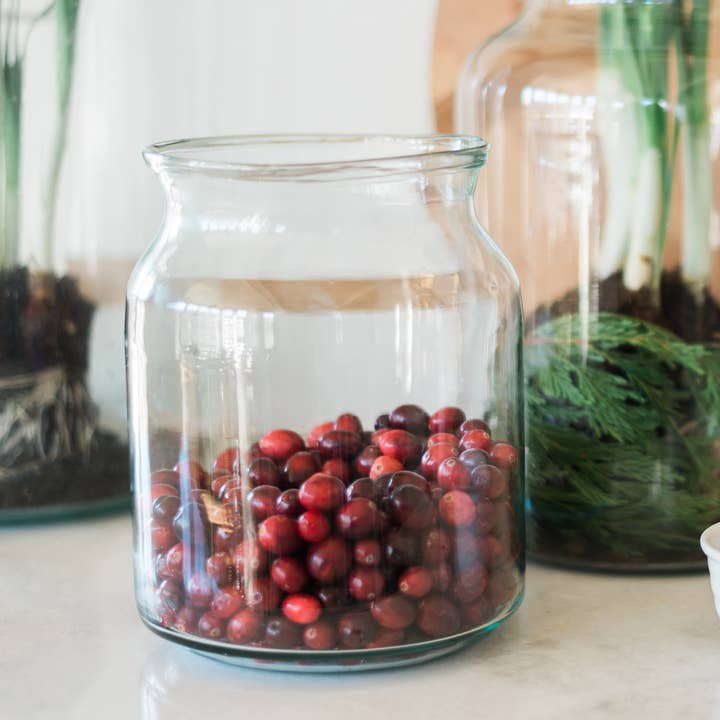 etúHOME - Wholesale Jar - Clear Glass Mason Jar Flower Vase, 5L
