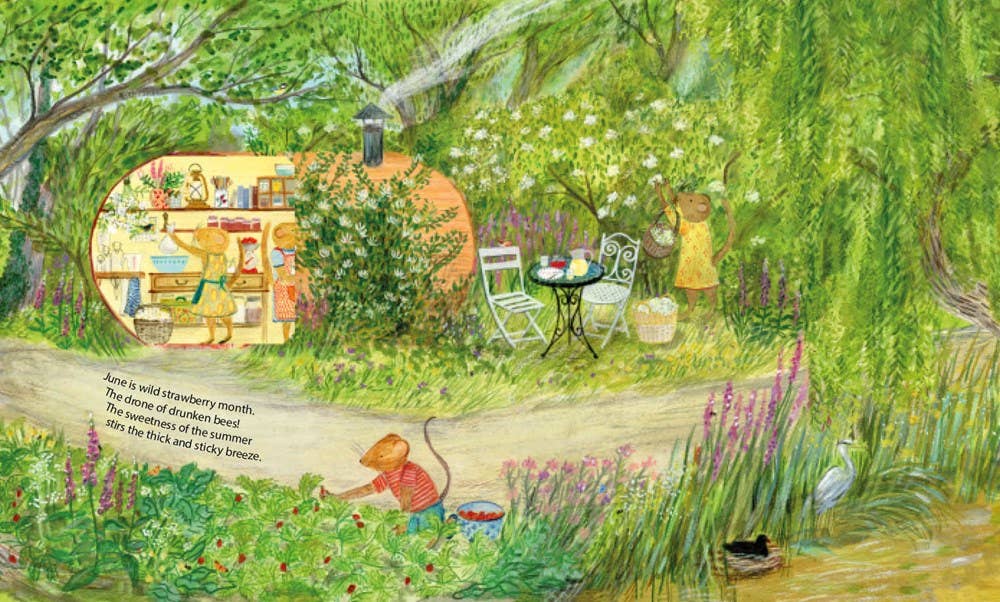 W. W. Norton - Wholesale Nature & Outdoors - Mouse's Wood: A Year in Nature3