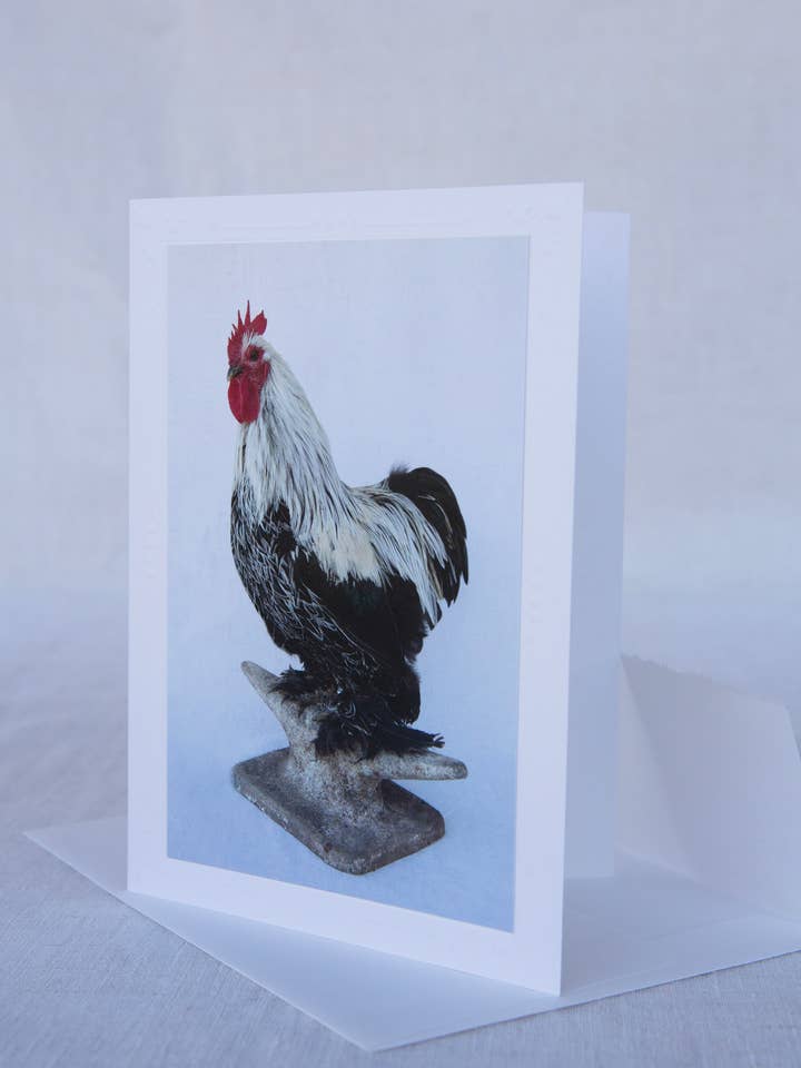 Valentino - Rescue - Handmade Greeting Card for wholesale by Sonoma Chicks