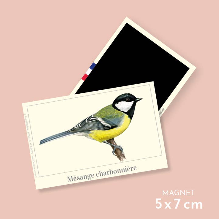 Great tit - Magnet for wholesale by Longue-vue