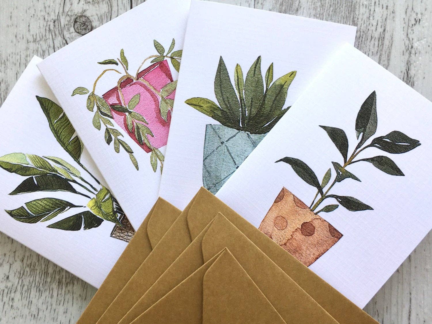 Scattered Seed Co - Wholesale Stationery/Notecard Set - POTTED PLANTS Collection 1 greeting cards set of 40