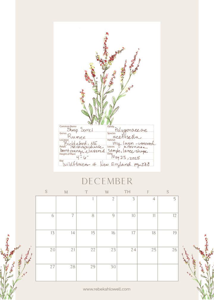 Rebekah Lowell Creative Studio - Wholesale Calendar - 2026 Wildflower Wall Calendar12