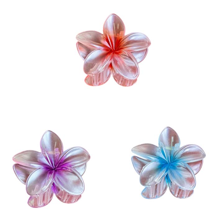 Almeria- Claw Hair Clip for wholesale by AA Designs Jewelry