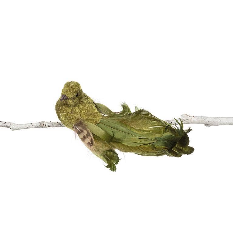 Abbott - Wholesale Decorative Figurine - Green Birdclip with Long Curly Tail1