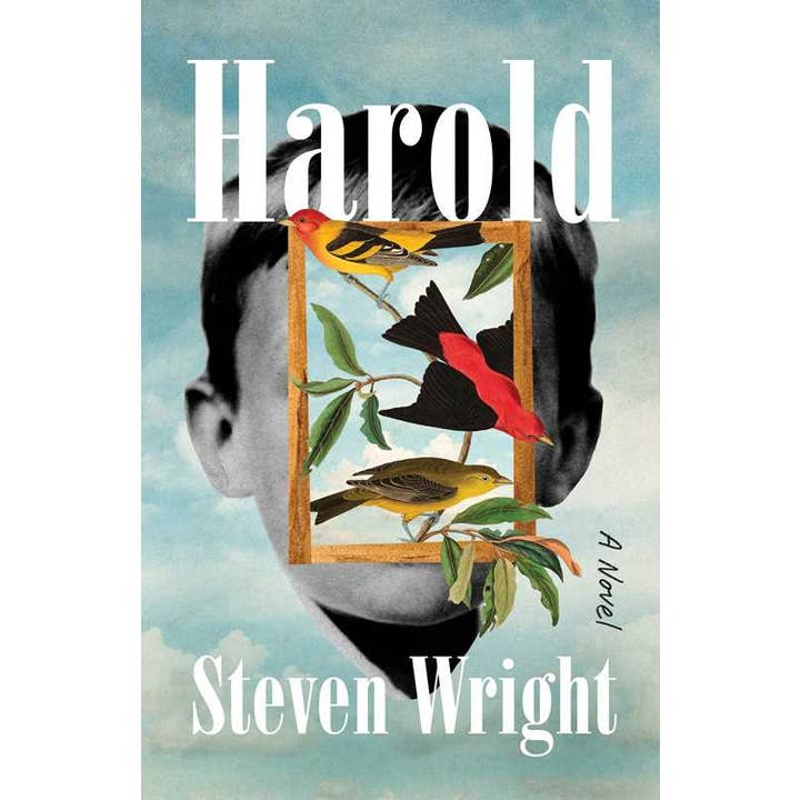 Simon & Schuster - Wholesale Contemporary & Literary Fiction - Harold by Steven Wright
