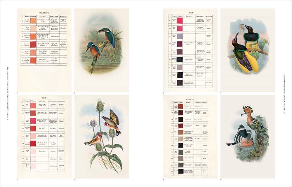 W. W. Norton - Wholesale Arts & Entertainment - Anatomy of Color8