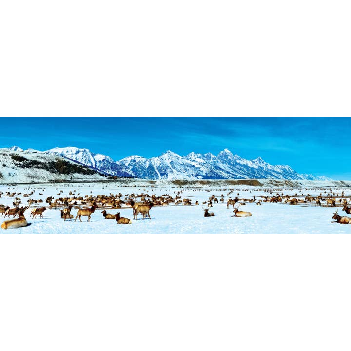 Masterpieces Puzzles - Wholesale Puzzle - Adult - Elk Refuge 1000 Piece Panoramic Puzzle