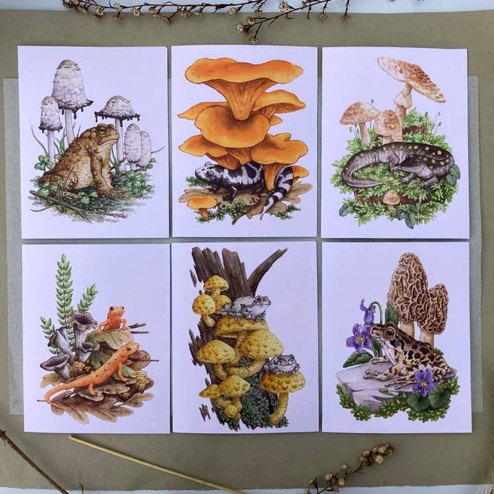 Ensemble de cartes - 12 amphibiens et champignons sur cartes recyclées vierges pour la vente par Lucinda Rowe Art