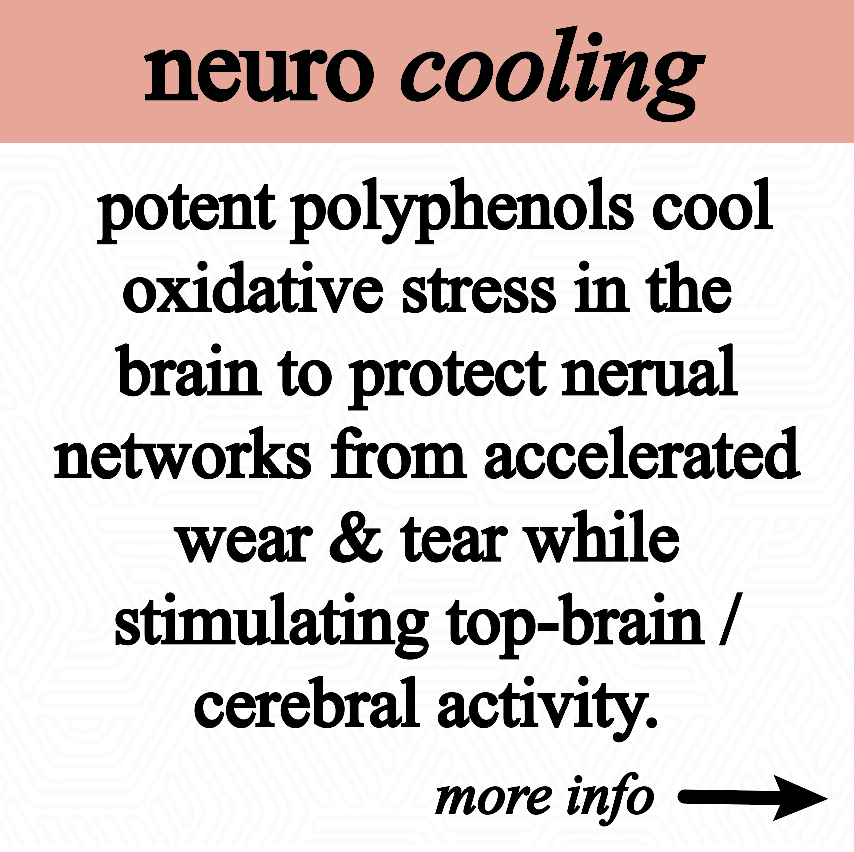 Roots Apothecary - Vente Teinture - Teinture pour l’anxiété6