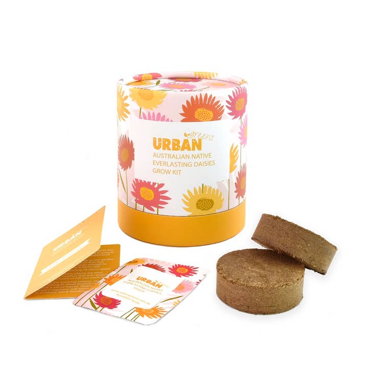 Urban Greens - Wholesale Plant seeds - Urban Greens Australian Native Everlasting Daisies Grow Kit1