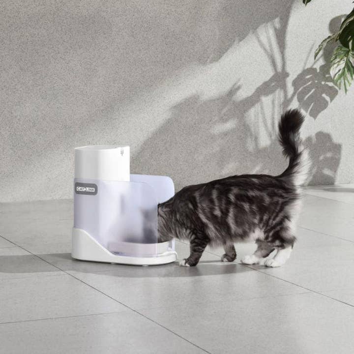 Petpuro - Wholesale Pet Bowl - Cat/Dog - CATLINK Multi-Pet Recognition Automatic Feeder