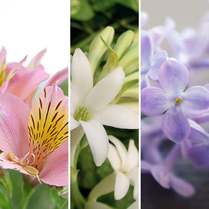 Inspired Candles - Wholesale Jar/filled candle - Tigerlily, Tuberose, Lilac 300g Candle1