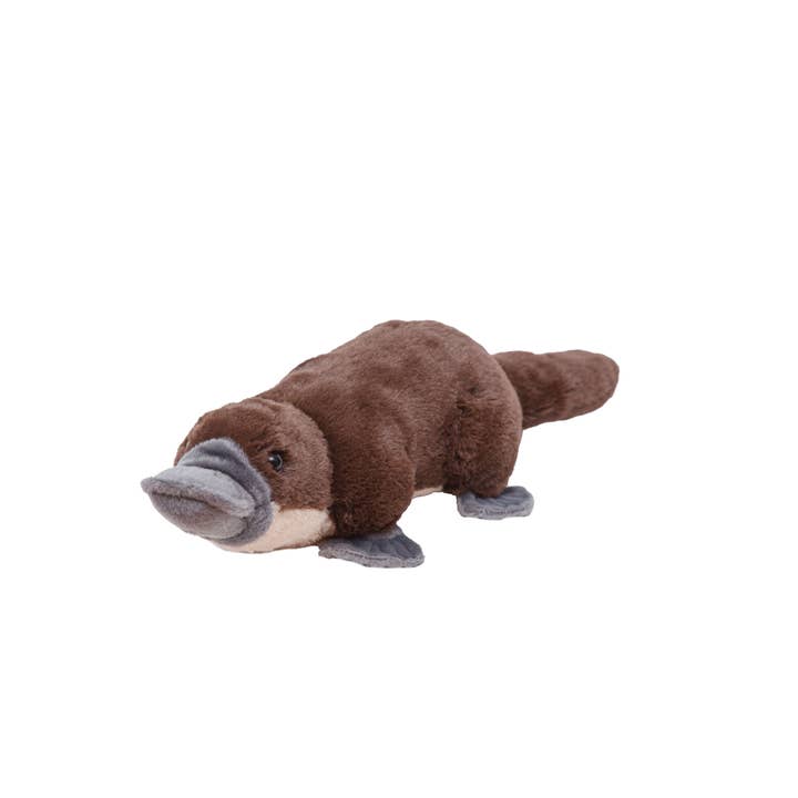 CK-Mini Platypus for wholesale by Wild Republic