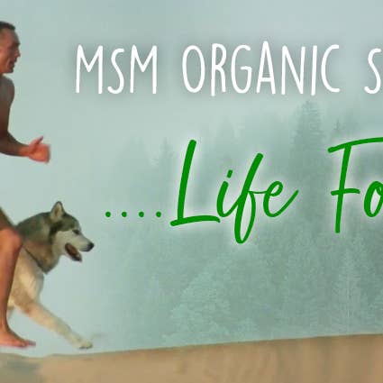 Ancient Purity – wholesale Oral supplement/vitamin – MSM Organic Sulphur | Pure 99% Sulphur Crystals | 250-500g4