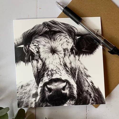 British Longhorn Cow Greeting Card for wholesale by Alex Sharp