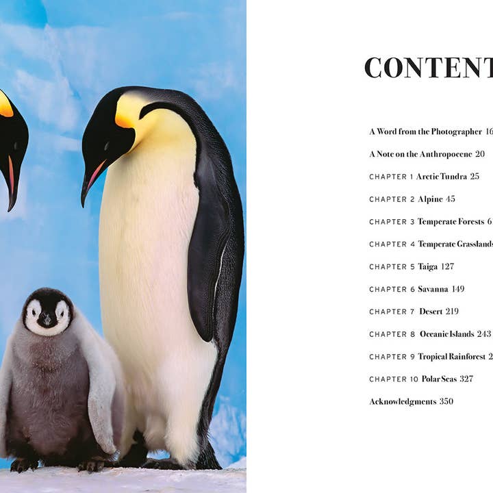 Insight Editions - Wholesale Book - Adult - Wild Lives (Coffee Table Gift Book / Art Wolfe photography)