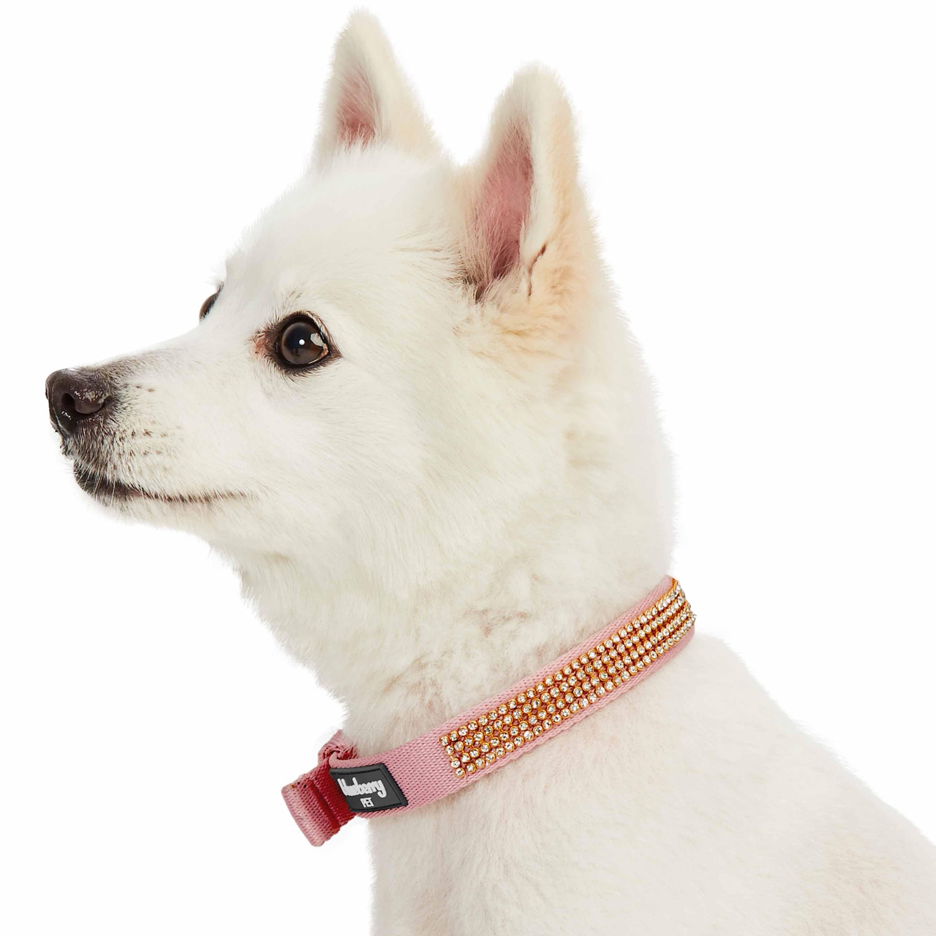 Blueberry Pet - Wholesale Pet Collar - Dog - 4 Colors, Bling Crystal Rhinestone Dog Collars7
