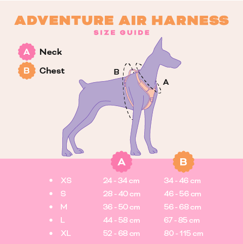 Barx - Wholesale Pet Harness - Dog - Adventure Air Harness | Missoni6