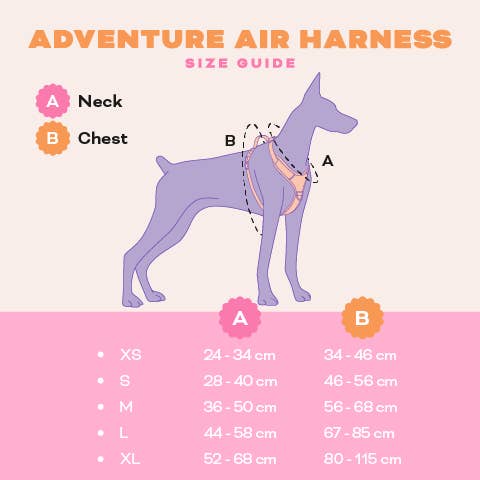 Barx - Wholesale Pet Harness - Dog - Adventure Air Harness | Missoni6