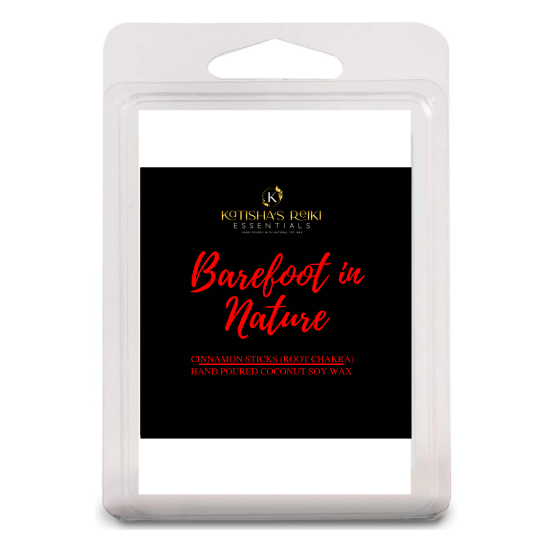 Katishasreikiessentials - Vente Matériels de bricolage - Cire de soja à la crème de coco et aux abricots10