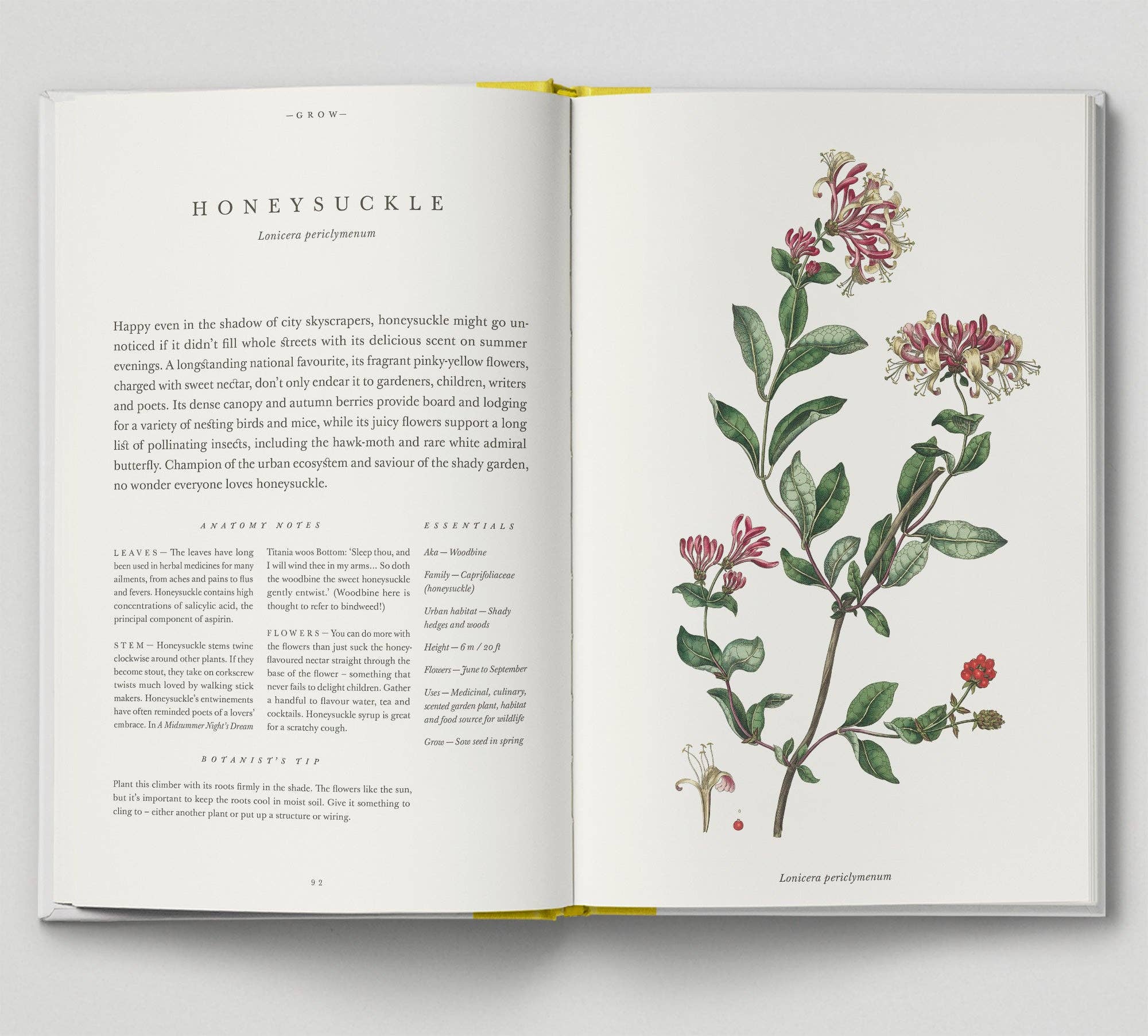 Hoxton Mini Press - Vente Livre sur la nature et les activités de plein air - The Botanical City5