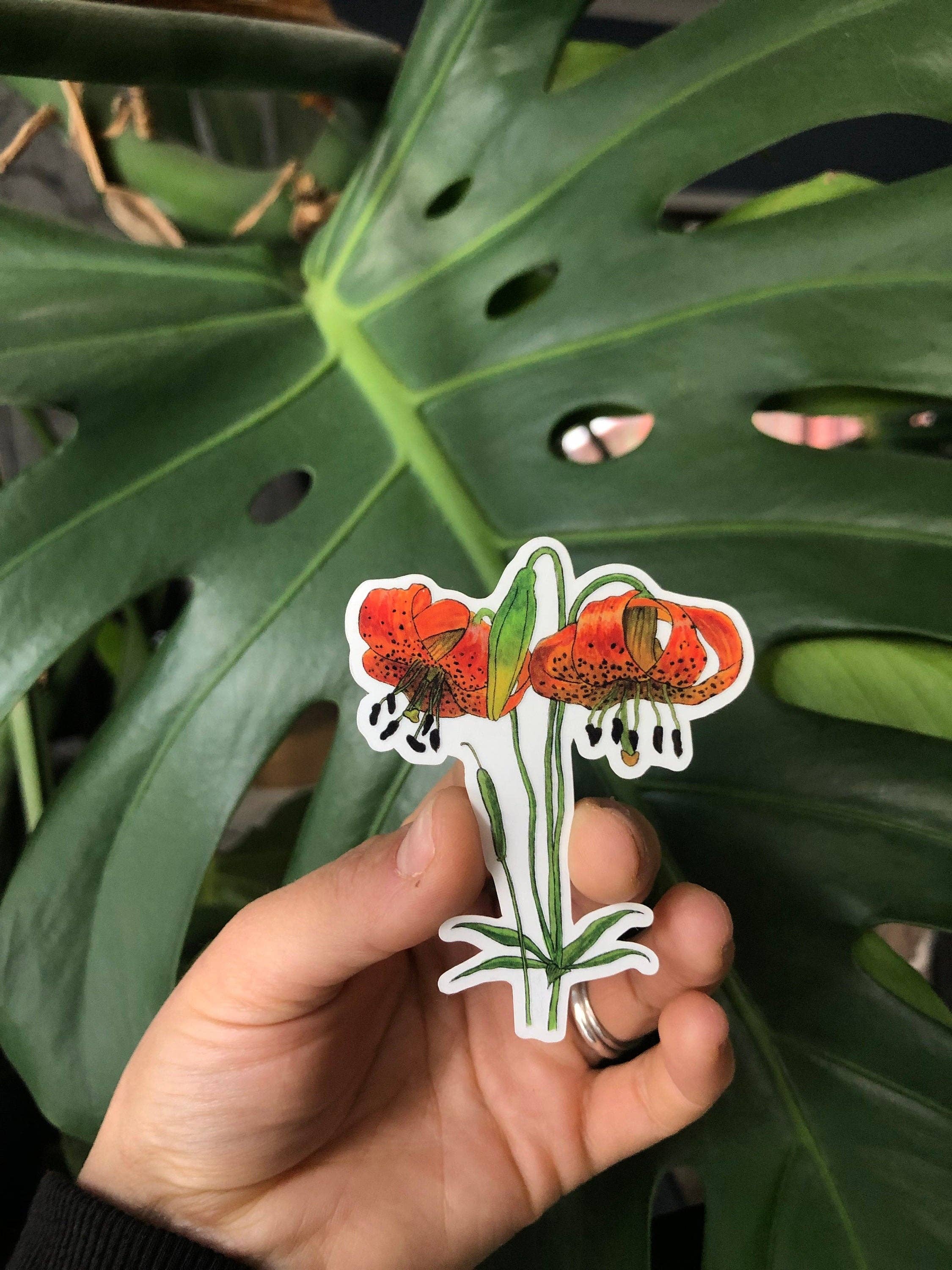 YubaCat Designs - Wholesale Sticker - Tiger Lily sticker1