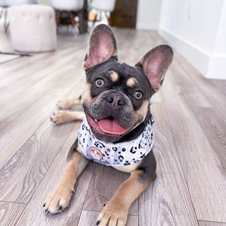 Arnés para perros Wild Babe, arnés ajustable para venta al por mayor de Vixen Fluffy Paws