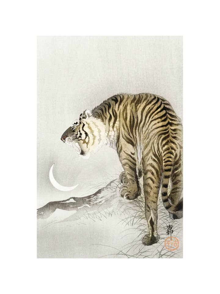 Tigre Rugido por atacado de Sweet Tree Cards