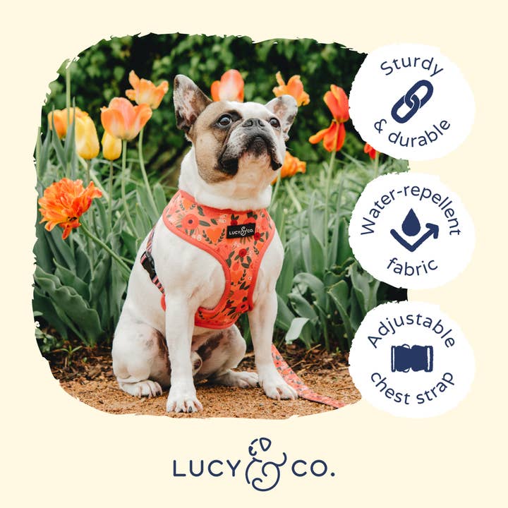 Lucy & Co. - Wholesale Pet Harness - Dog - Posy Pink Reversible Harness6