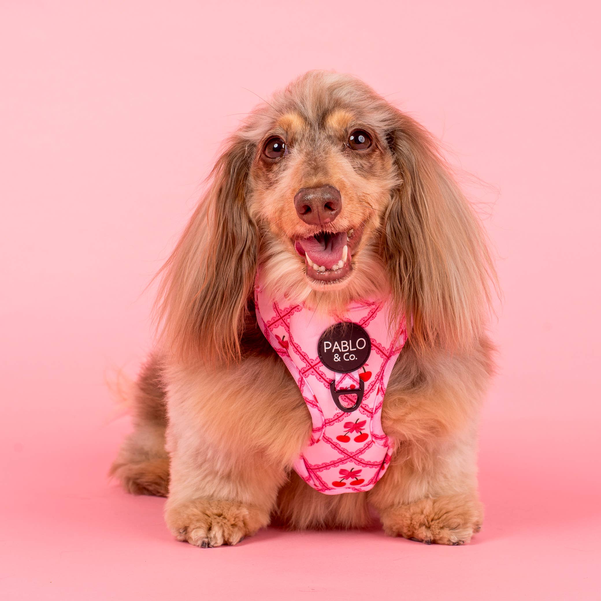 Pablo & Co. Boutique - Wholesale Pet Harness - Dog - Ma chérie: Adjustable Dog Harness0