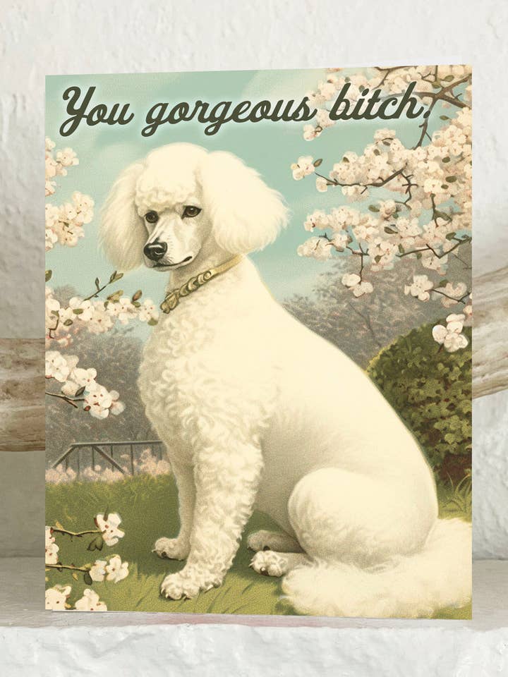 You Gorgeous Bitch Funny Dog Card - Encouragement Love for wholesale by The Coin Laundry