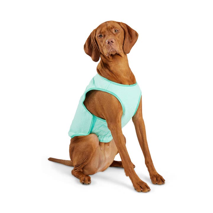 GF PET Elasto-Fit Ice Vest - Aqua for wholesale by GF Pet
